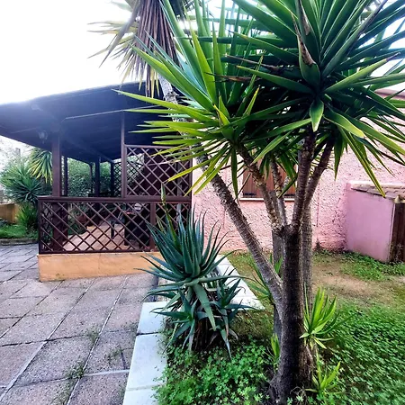 Home Garden - Un Giardino Sul Mare 펜션 테르테니아